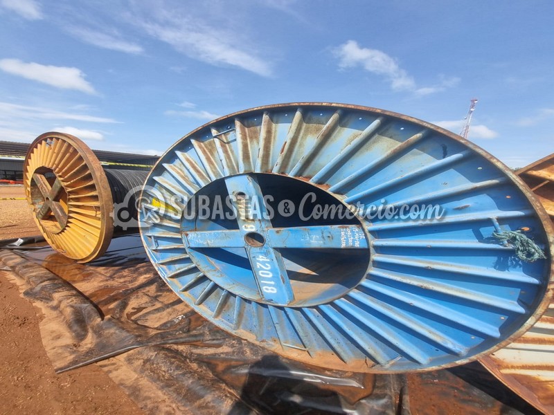 WhatsApp Image 2025-11-07 at 12.54.01 PM (2).jpg